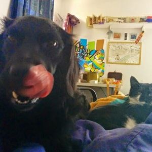 Meet your Posher, Nadine